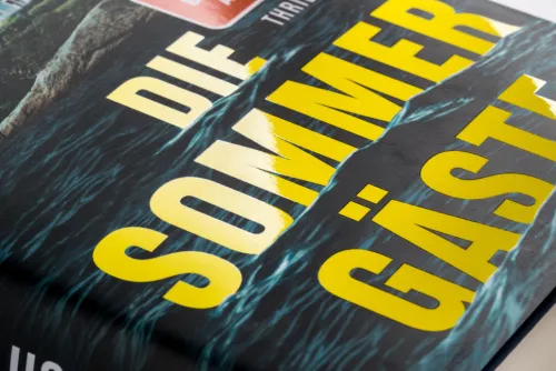 Limes Verlag Spionagethriller|Privatdetektive*Die Sommergäste