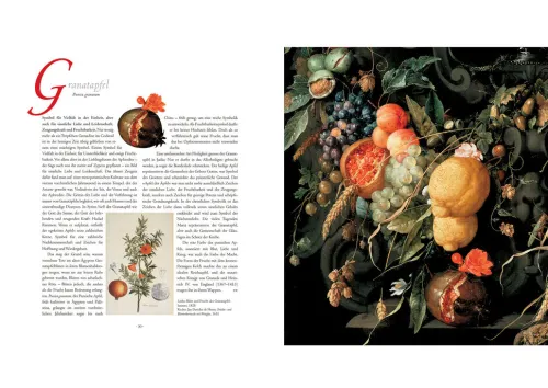 Die Sprache der Blumen. Pflanzen und ihre symbolische Bedeutung*Bassermann, Edition Outlet