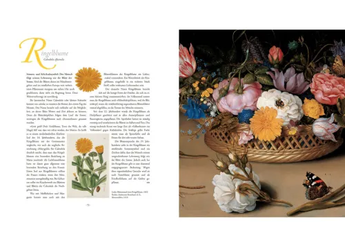 Die Sprache der Blumen. Pflanzen und ihre symbolische Bedeutung*Bassermann, Edition Outlet