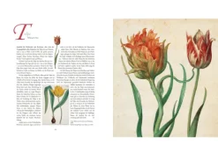 Die Sprache der Blumen. Pflanzen und ihre symbolische Bedeutung*Bassermann, Edition Outlet