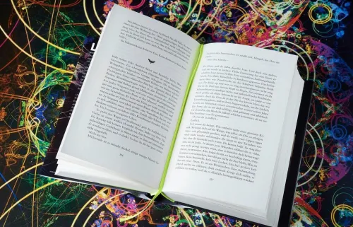 Die Tyrannei des Schmetterlings*Kiepenheuer & Witsch GmbH New