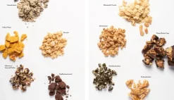 Die vegane Eis-Bibel*Christian Verlag GmbH Sale