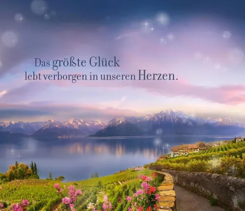 Die verborgene Tochter*Knaur Taschenbuch Outlet