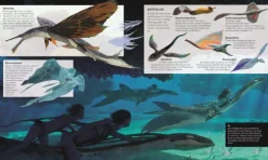 Kinder Dorling Kindersley Verlag Musik, Film, Theater|10-12 Jahre-Die Welt von Avatar