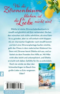 Ullstein Taschenbuchvlg. Auszeit Vom Alltag*Die Zitronenblüten von Amalfi