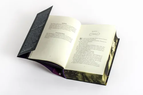 Dire Bound*Goldmann Verlag Online