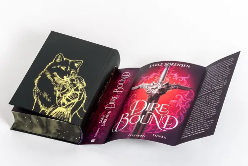 Dire Bound*Goldmann Verlag Online