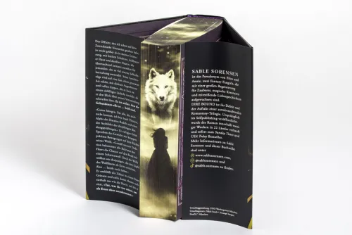 Dire Bound*Goldmann Verlag Online