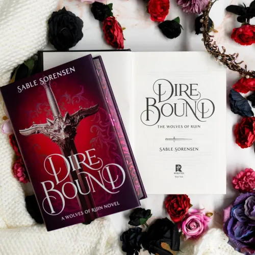 Hachette Book Group USA Fremdsprachige Bücher|Romance*Dire Bound (Deluxe Limited Edition)