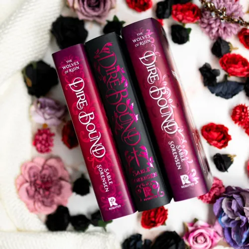 Hachette Book Group USA Fremdsprachige Bücher|Romance*Dire Bound (Deluxe Limited Edition)