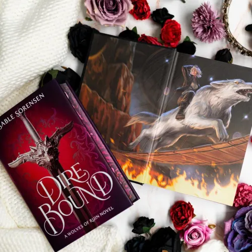 Hachette Book Group USA Fremdsprachige Bücher|Romance*Dire Bound (Deluxe Limited Edition)