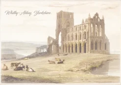 Coppenrath Klassische Horrorgeschichten|Horror*Dracula