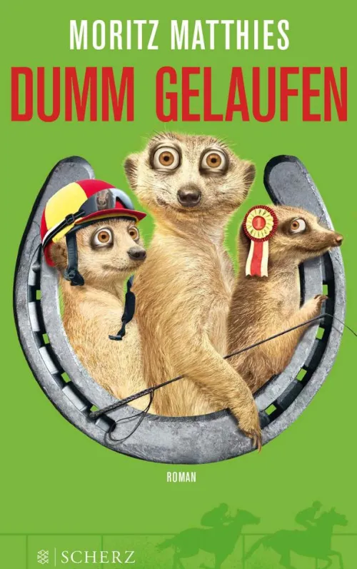 Dumm gelaufen*FISCHER E-Books