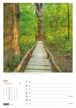 DuMont Kalenderverlag Wochenkalender-DUMONT - In Deutschland unterwegs 2026 - Wochenkalender 21 x 30 cm, Wandkalender mit 53 Reisezielen, für Natur- und Kulturliebhaber