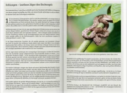 Dumont Reise Vlg GmbH + C Reiseführer-DUMONT Reise-Handbuch Reiseführer Costa Rica