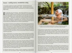 Dumont Reise Vlg GmbH + C Reiseberichte-DUMONT Reise-Handbuch Reiseführer Japan