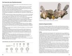 Gräfe u. Unzer AutorenV Geowissenschaft-Edelsteine und Schmucksteine