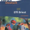 Effi Briest. EinFach Deutsch ...verstehen*Schoeningh Verlag Best