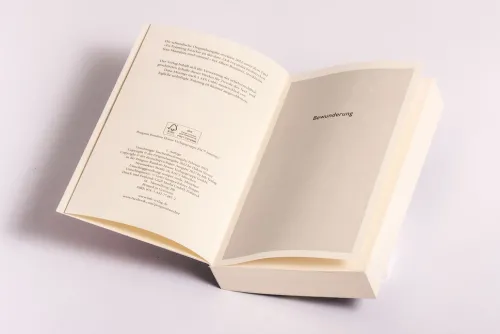 btb Taschenbuch Krimi Klassiker-Ein Fremder klopft an deine Tür