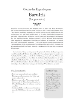 Neumann Verlage GmbH & Co Wochenkalender-Ein Jahr in meinem Garten - Wochenkalender 2026 - Garten-Kalender mit 53 Blatt - Format 21,0 x 29,7 cm - Spiralbindung