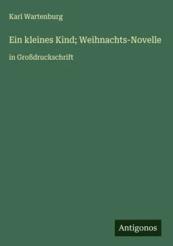 Antigonos Verlag Großdruck-Ein kleines Kind; Weihnachts-Novelle