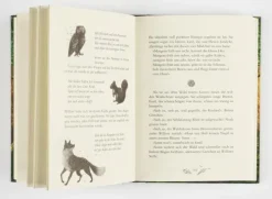 Ein Mädchen namens Willow 2: Waldgeflüster*Planet! Discount