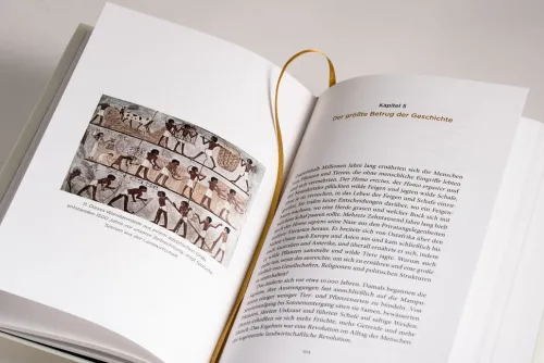 DVA Dt.Verlags-Anstalt Geschichte|Geschichte-Eine kurze Geschichte der Menschheit