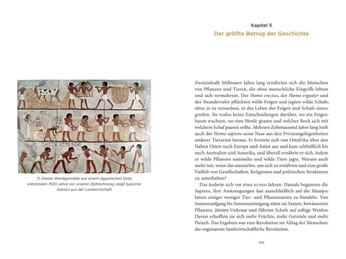 DVA Dt.Verlags-Anstalt Geschichte|Geschichte-Eine kurze Geschichte der Menschheit