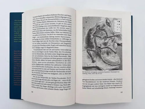 Piper Verlag GmbH Biologie-Eine neue Geschichte der Säugetiere