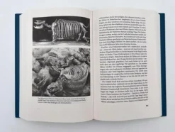 Piper Verlag GmbH Biologie-Eine neue Geschichte der Säugetiere