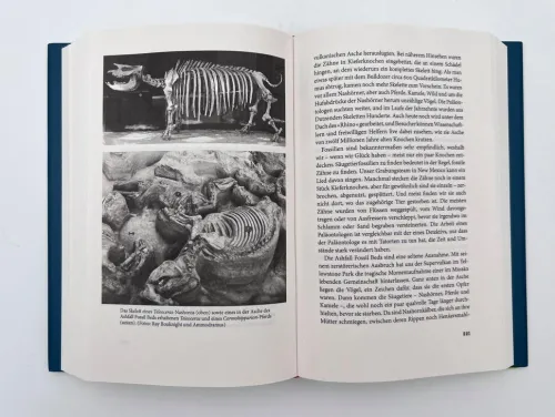 Piper Verlag GmbH Biologie-Eine neue Geschichte der Säugetiere