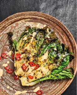 Heel Verlag GmbH Grillparty & Picknick*Einfach genial grillen - Vegetarisch