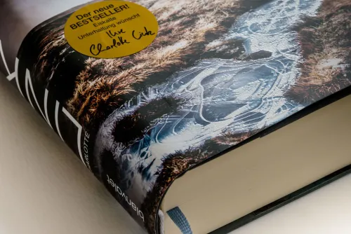 Einsame Nacht*Blanvalet Verlag Hot