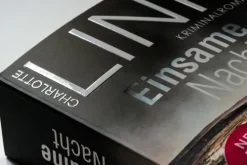 Blanvalet Taschenbuchverl Weibliche Ermittler|Krimis-Einsame Nacht