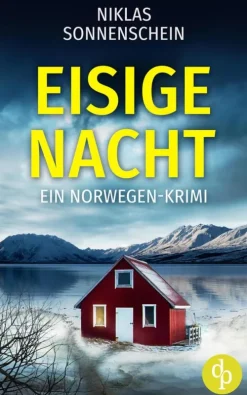 Eisige Nacht | Ein packender Krimi vor der düsteren Kulisse Skandinaviens*dp DIGITAL PUBLISHERS GmbH