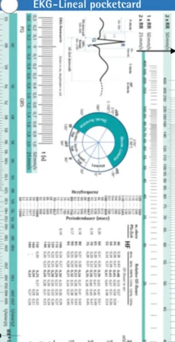 EKG-Lineal pocketcard*Boerm Bruckmeier Outlet