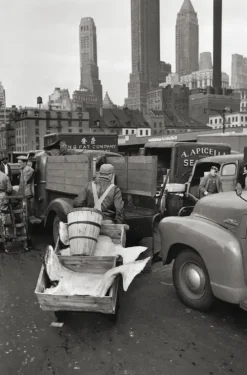 Elliott Erwitt's New York*teNeues Verlag GmbH New