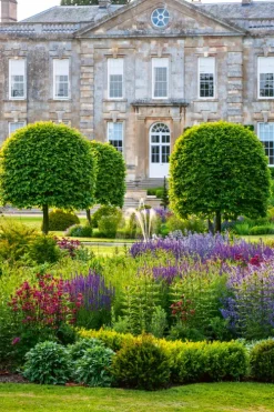 Busse-Seewald Verlag Architektur & Wohnen-Englische Gartenträume