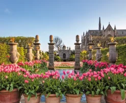 Busse-Seewald Verlag Architektur & Wohnen-Englische Gartenträume