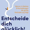 Entscheide dich glücklich!*Christian Brandstätter Verlag Discount