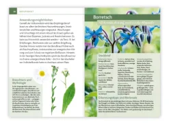 Essbare Heilkräuter und Wildpflanzen. Kompakt-Ratgeber*Mankau Verlag Outlet