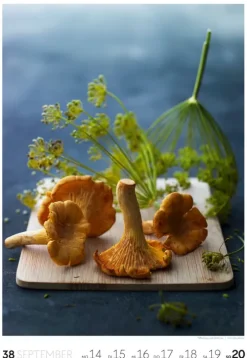 Essen Wochenkalender 2026*Ackermann Kunstverlag Sale