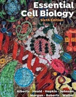 Norton & Company Fachbücher-Essential Cell Biology