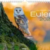 Heel Verlag GmbH Wandkalender*Eulen Kalender 2026