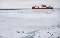 Prestel Verlag Bildbände*Expedition Arktis