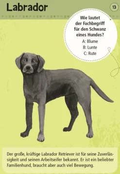 Expedition Natur: 50 Haustiere*moses. Verlag GmbH Discount