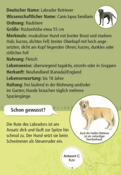 Expedition Natur: 50 Haustiere*moses. Verlag GmbH Discount