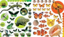 Workman Publishing Kinderbücher*EyeLike Stickers: Animals