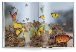 Fabian Kahl*teNeues Verlag ein Imprint des Gestalten Verlags Online