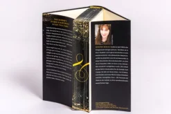 Heyne Verlag Historische Fantasy-Fairiegolden Town - Die Prinzessin der Diebe